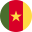  Cameroon flag